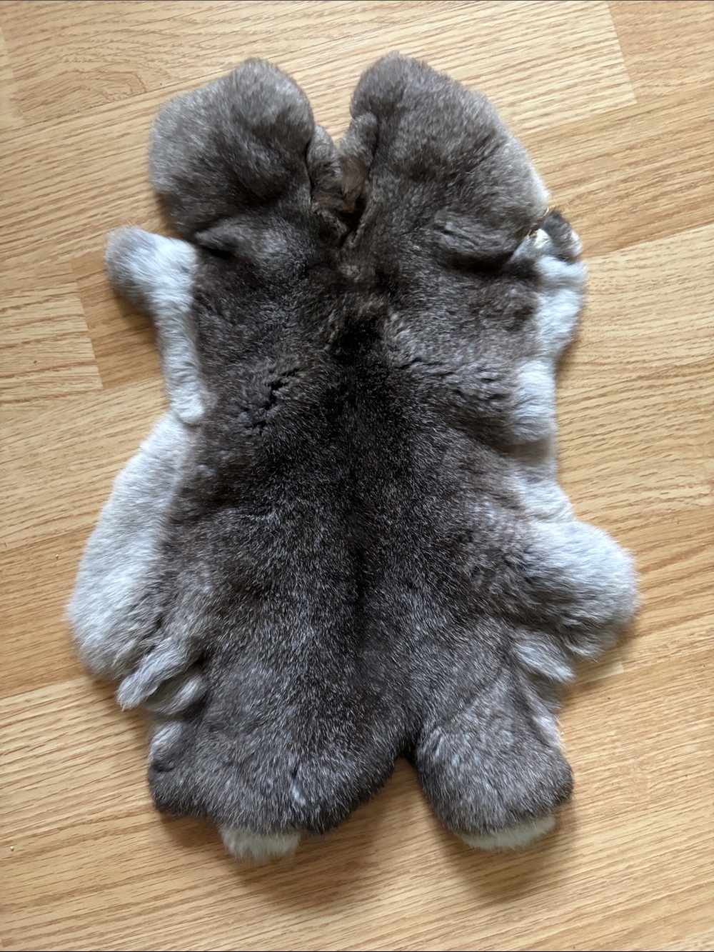 B0257 Rex rabbit hide craft supply
